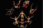 Pamoja-Acrobats