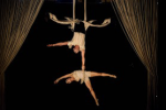 circo pitanga